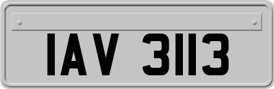 IAV3113