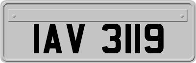 IAV3119