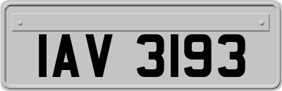 IAV3193