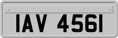 IAV4561