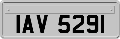 IAV5291