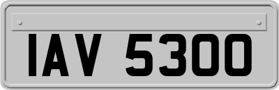 IAV5300