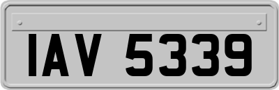 IAV5339