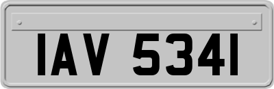 IAV5341