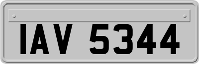 IAV5344