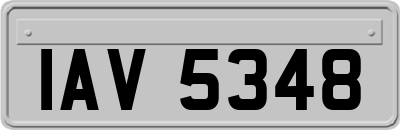 IAV5348