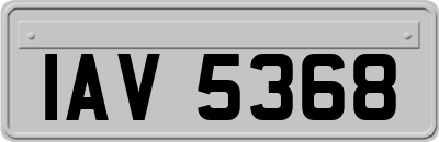 IAV5368