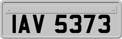 IAV5373