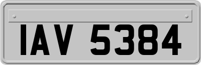 IAV5384