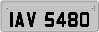 IAV5480