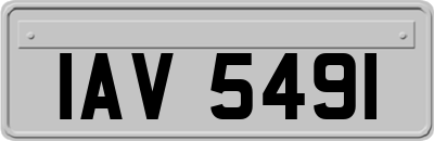 IAV5491