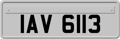 IAV6113