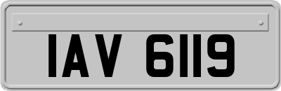 IAV6119