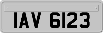 IAV6123