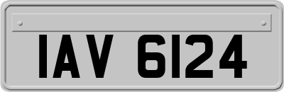 IAV6124