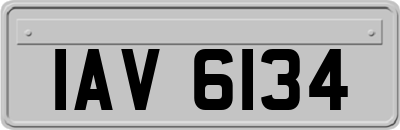 IAV6134