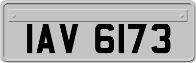 IAV6173