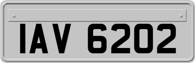 IAV6202