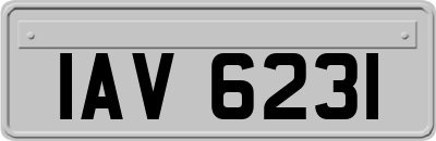 IAV6231