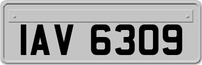 IAV6309