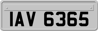 IAV6365