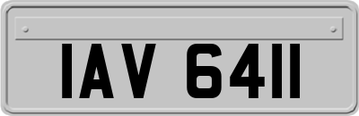 IAV6411