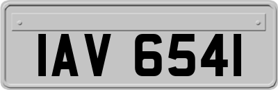 IAV6541