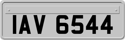 IAV6544