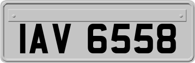 IAV6558