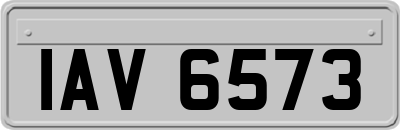 IAV6573