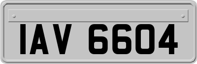 IAV6604