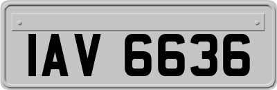 IAV6636