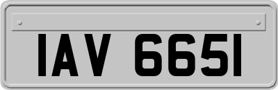 IAV6651