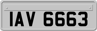 IAV6663