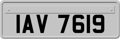 IAV7619