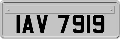 IAV7919