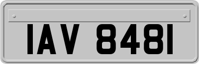 IAV8481