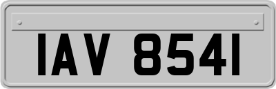 IAV8541