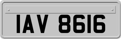 IAV8616