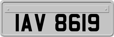 IAV8619