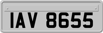 IAV8655