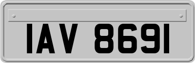 IAV8691