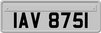 IAV8751