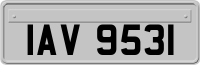 IAV9531