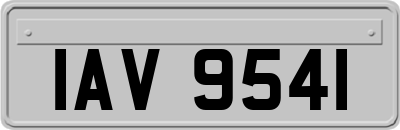 IAV9541