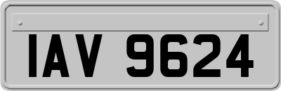 IAV9624