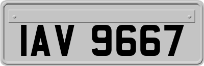 IAV9667