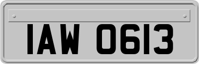 IAW0613