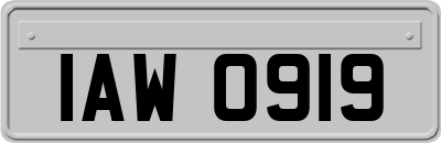 IAW0919