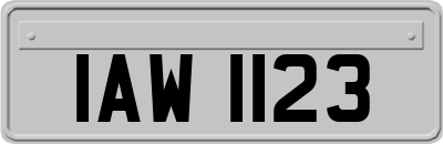 IAW1123